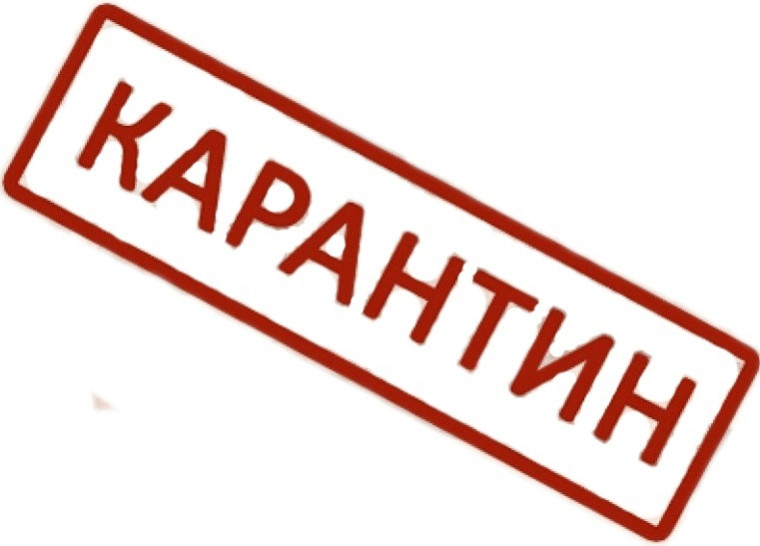 Карантин.